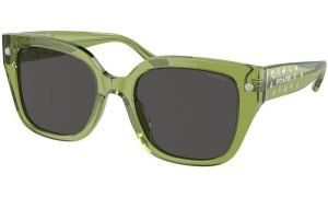 COACH HC 8392U 581087 Women Sunglasss Green