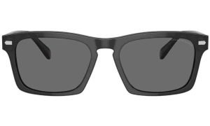 COACH HC 8397U 581781 Men Sunglass Grey