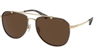 COACH HC 7164 90053G Men Sunglass Gold