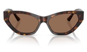 JIMMY CHOO JC5022B 500273 55 - Sheet full JIMMY CHOO Havana Cateye