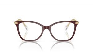 SWAROVSKI SK 2010 1008 - METAL SHEET Swarovski Red Ladies