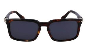 SALVATORE FERRAGAMO SF1110S 242 56 - Sheet full SALVATORE FERRAGAMO Brown Square