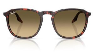 RAYBAN RB2203 14290A 55 - Sheet full Rayban Havana Ladies