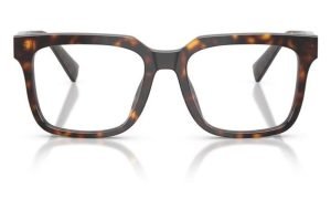 DOLCE & GABBANA DG3422 502 53 - Sheet full DOLCE&GABBANA Havana Square