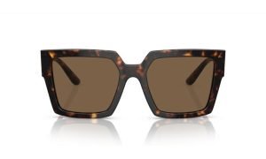 DOLCE & GABBANA DG4446B 502/73 53 - Sheet full DOLCE&GABBANA Havana Ladies